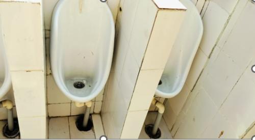 WhatsApp Image 2025-02-13 at 12.10.53_b2b787e2