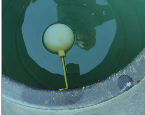 WhatsApp Image 2025-02-13 at 12.10.54_b786fcb4